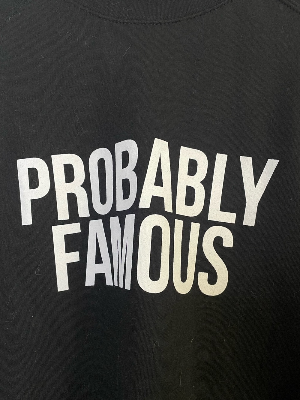Suburban Riot “Probably Famous” Slouchy Sweatshirt - Picture 4 of 5